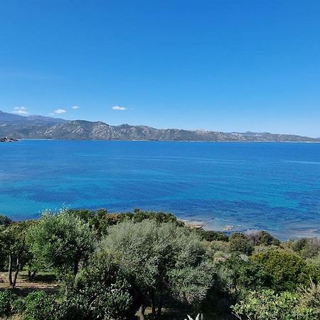 Appartement Sur La Baie De Saint Florent Patrimonio Esterno foto