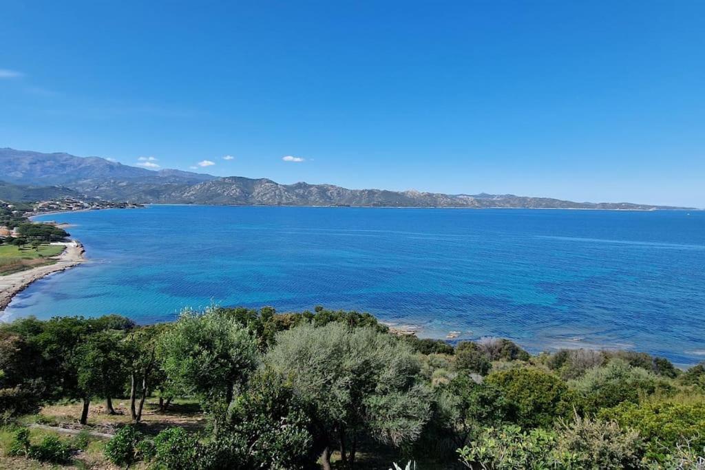 Appartement Sur La Baie De Saint Florent Patrimonio Esterno foto