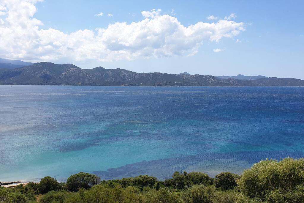 Appartement Sur La Baie De Saint Florent Patrimonio Esterno foto