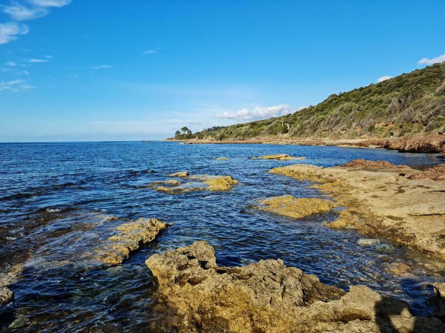 Appartement Sur La Baie De Saint Florent Patrimonio Esterno foto