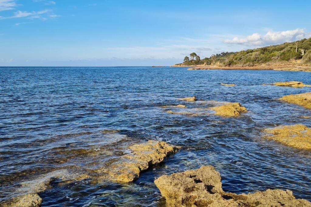 Appartement Sur La Baie De Saint Florent Patrimonio Esterno foto