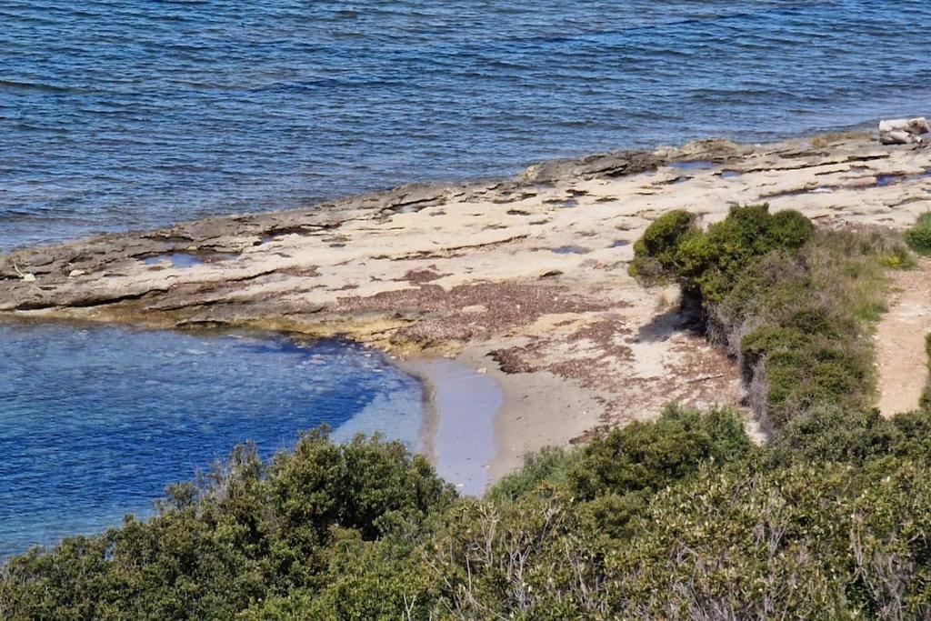 Appartement Sur La Baie De Saint Florent Patrimonio Esterno foto