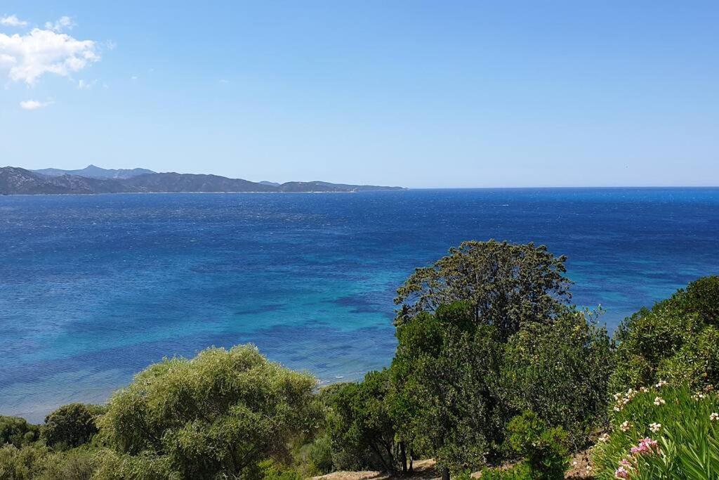 Appartement Sur La Baie De Saint Florent Patrimonio Esterno foto
