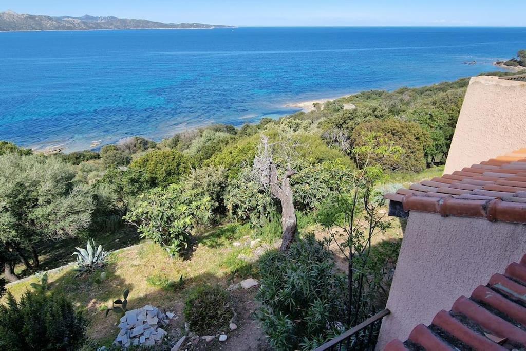 Appartement Sur La Baie De Saint Florent Patrimonio Esterno foto