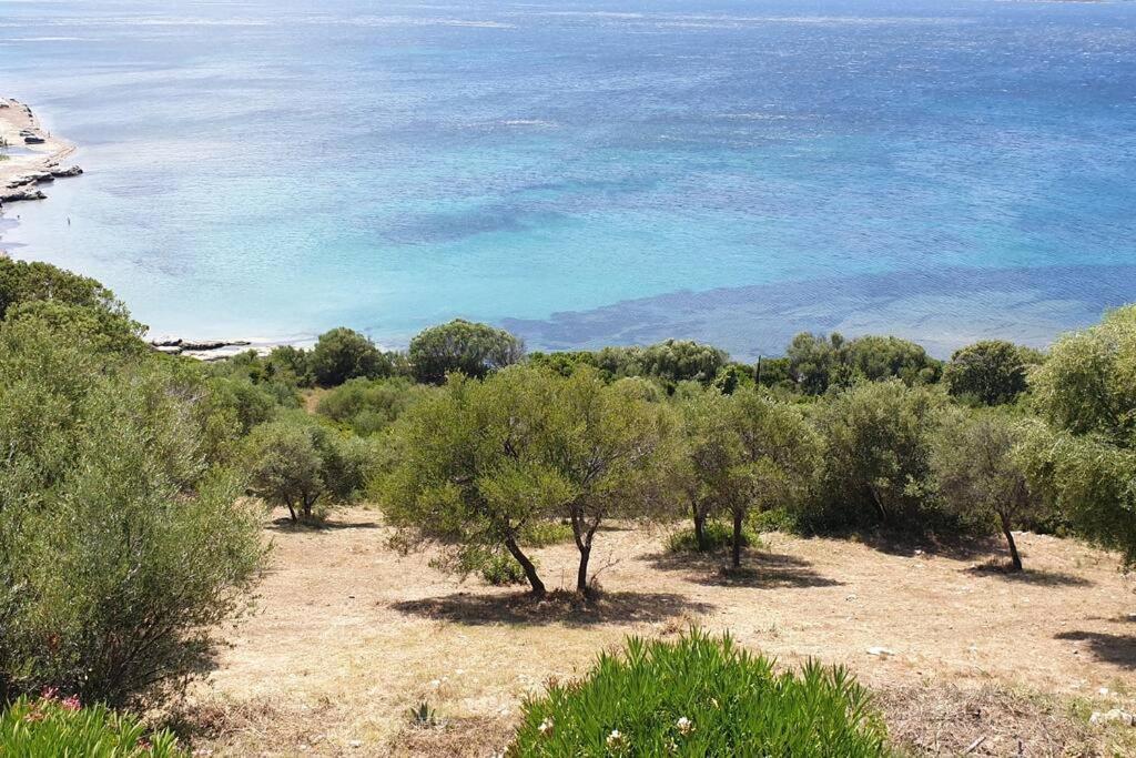 Appartement Sur La Baie De Saint Florent Patrimonio Esterno foto